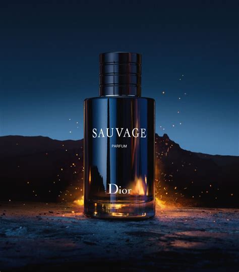 comprar sauvage dior|fragrances like dior sauvage.